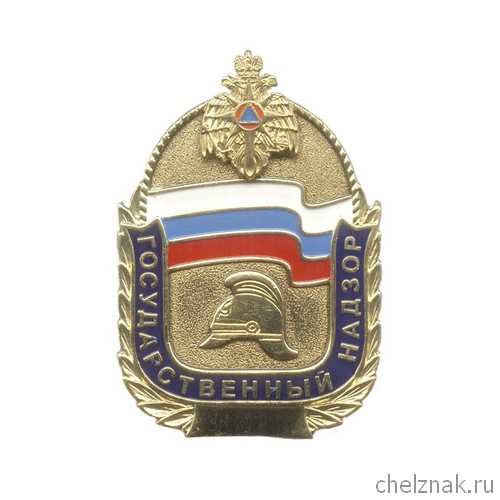 Нагрудный жетон «Государственный  надзор»