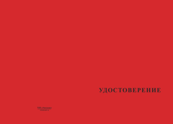 Лицевая сторона награды Знак на колодке «Ветеран профсоюза. Лесосибирский речной порт»