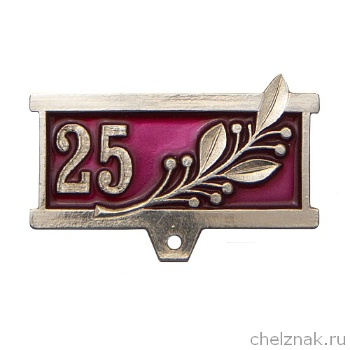 Колодка к знаку/медали 25 (серебро)