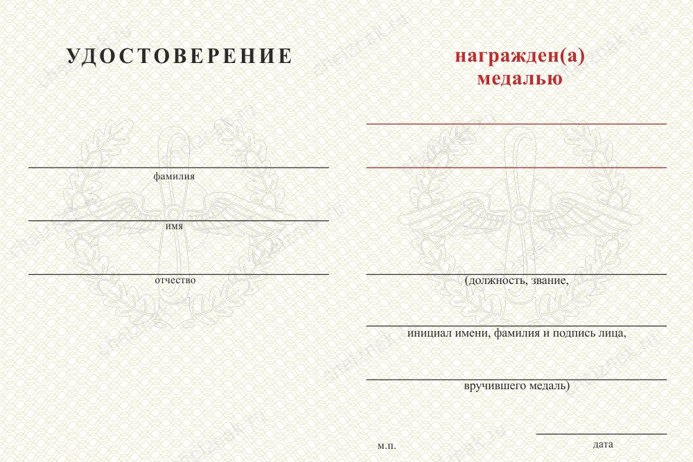 Обратная сторона награды Медаль ВВС (с текстом заказчика), с бланком удостоверения