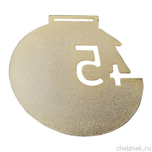 Реверс награды Настольная медаль «45 лет МБУ «СШОР по дзюдо “Локомотив”»