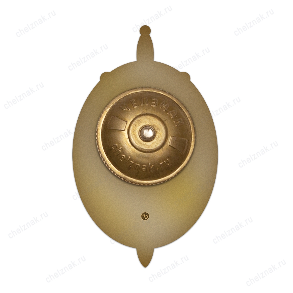 Реверс награды Знак «30 лет управлению собственной безопасности ФСБ РФ» с бланком удостоверения