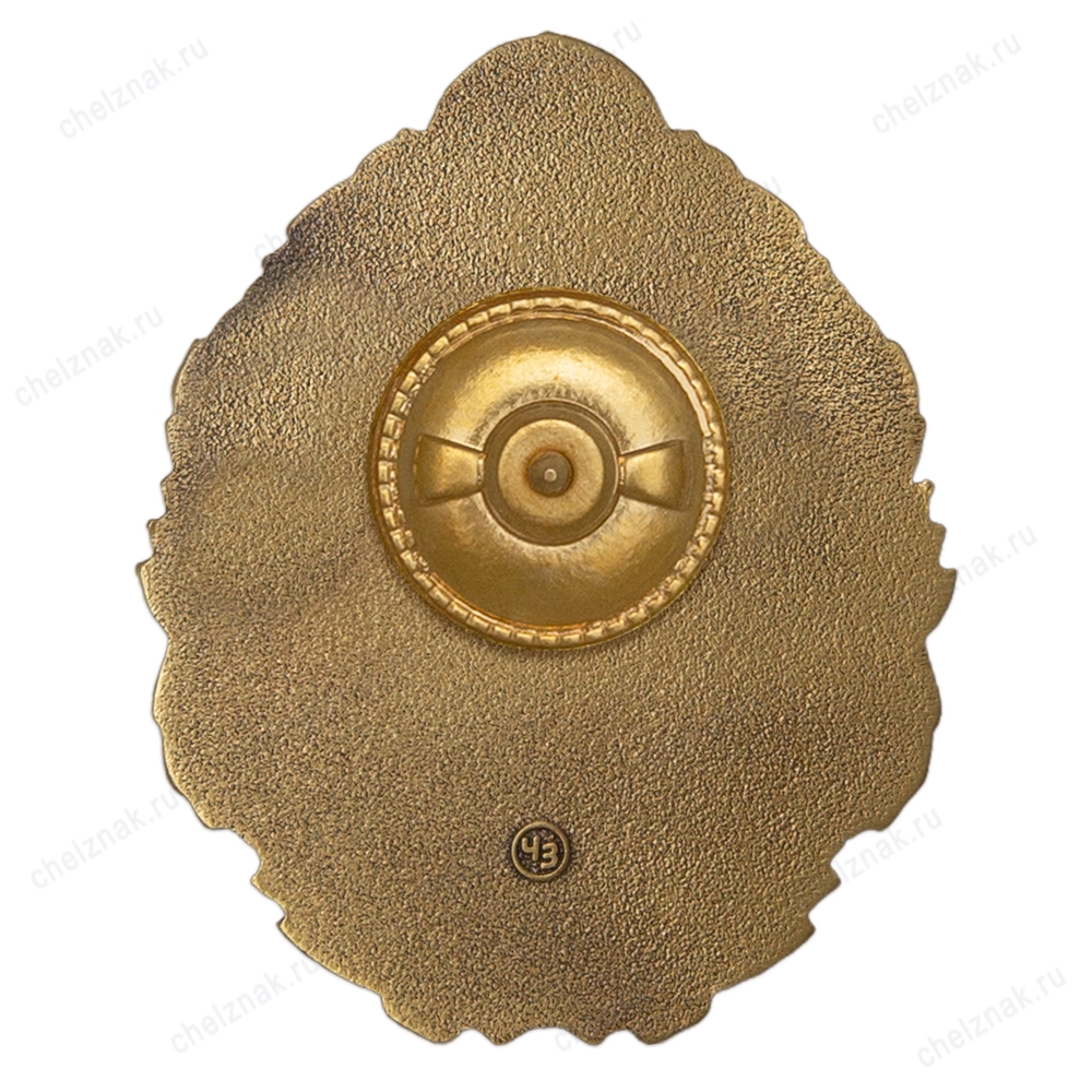 Реверс награды Знак «Афганистан Руха Панджшер, 682 МСП» с бланком удостоверения