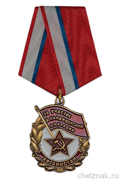 Знак «За участие в Панджшерской операции. Афганистан» с бланком удостоверения