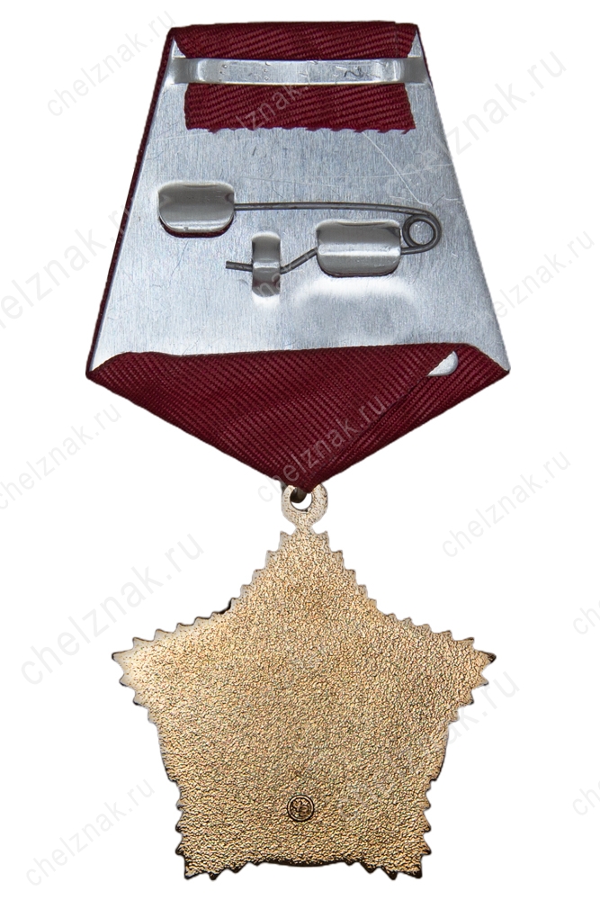 Реверс награды Знак МРОО "Братство Ветеранов 245 полка" «Орден 245-го полка» с бланком удостоверения