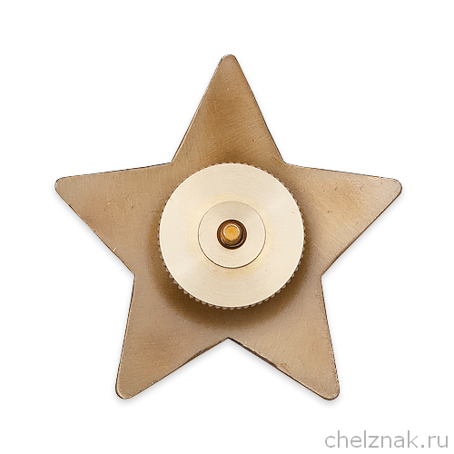 Реверс награды Знак «75 лет Великой Победы» с бланком удостоверения