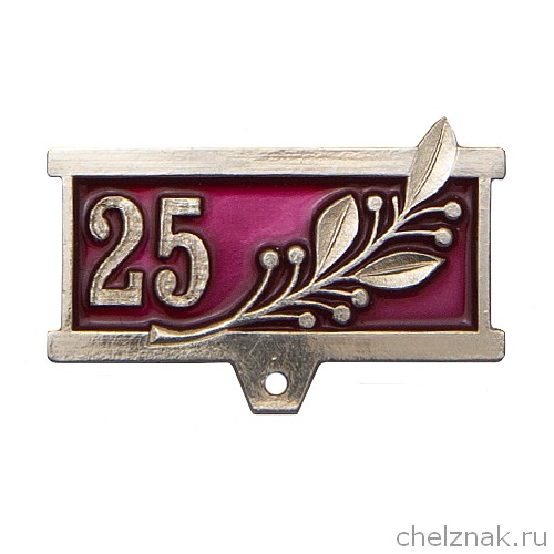 Колодка к знаку/медали 25 (серебро)