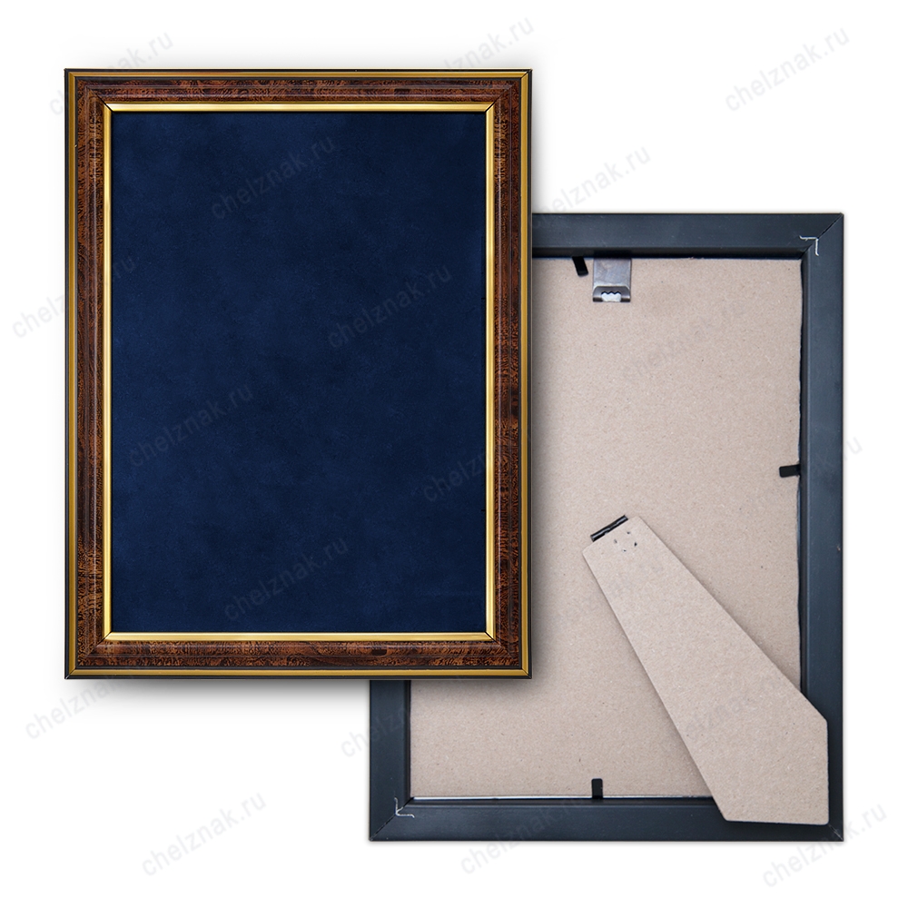 Реверс награды Панно для ордена